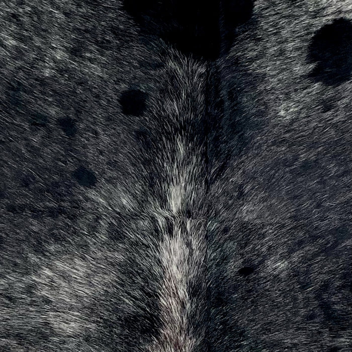 Closeup of this Speckled Brazilian Cowhide, showing black with white speckles  (BRSP3521)