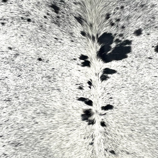 Closeup of this Speckled Brazilian Cowhide, showing white with black speckles and spots  (BRSP3522)