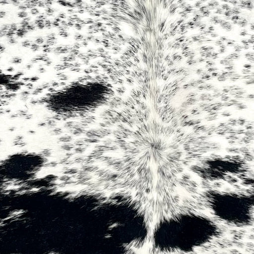 Closeup of this Cloudy Speckled Brazilian Cowhide, showing white with cloudy, black speckles and spots (BRSP3523)