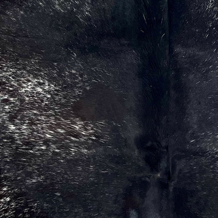 Closeup of this Speckled Brazilian Cowhide, showing black with white speckles and spots, with mostly solid black down the middle (BRSP3525)