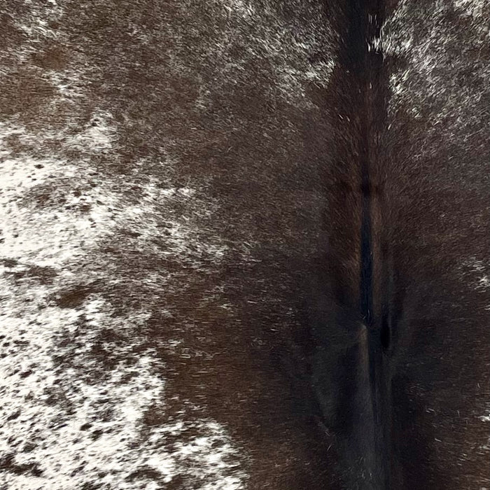 Closeup of this Speckled Brazilian Cowhide, showing white with dark brown spots and speckles, and mostly solid brown down the middle (BRSP3527)
