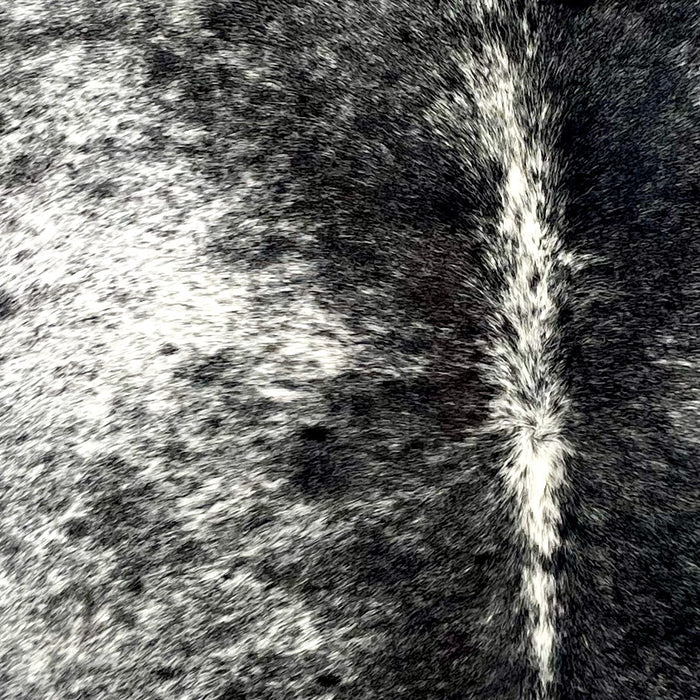 Closeup of this Speckled Brazilian Cowhide, showing white with black speckles and spots (BRSP3528)