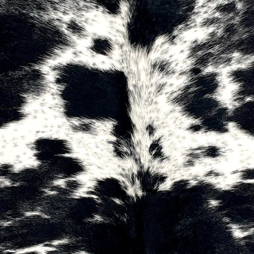 Closeup of this Large Speckled Brazilian Cowhide, showing white with large and small, black spots, and cloudy, black speckles (BRSP3529)