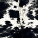 Closeup of this Large Speckled Brazilian Cowhide, showing white with large and small, black spots, and cloudy, black speckles (BRSP3529)