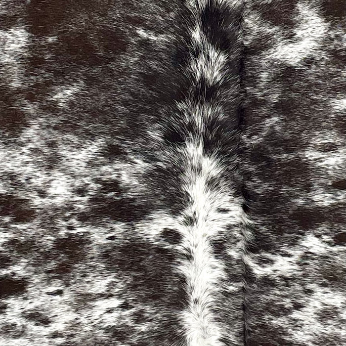 Closeup of this Speckled Brazilian Cowhide, showing white with dark brown spots and speckles (BRSP3532)