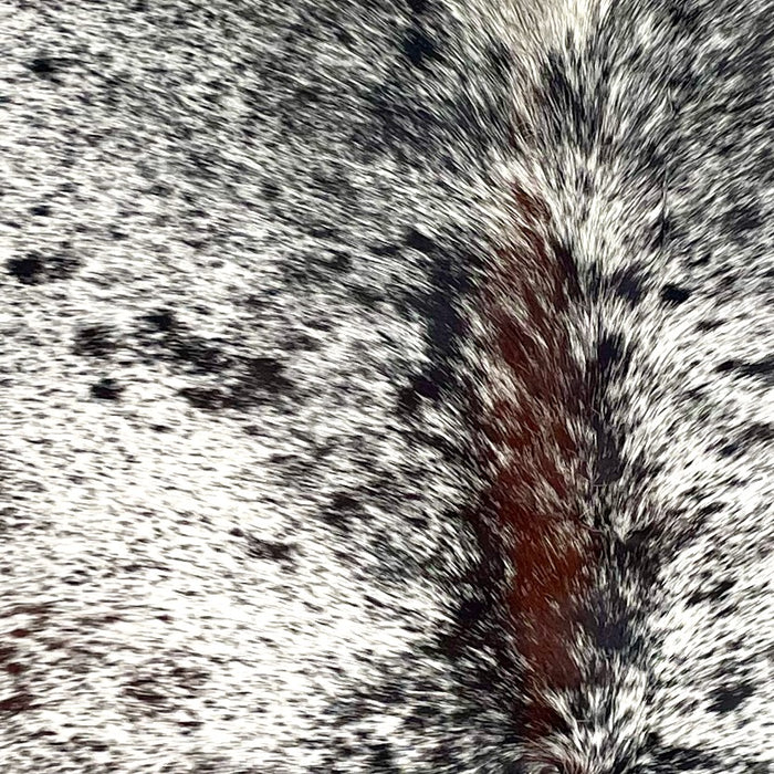 Closeup of this Speckled Brazilian Cowhide, showing white with black speckles and spots, and brown down part of the spine (BRSP3535)