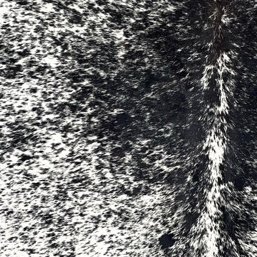Closeup of this Speckled Brazilian Cowhide, showing white with black speckles and spots (BRSP3537)