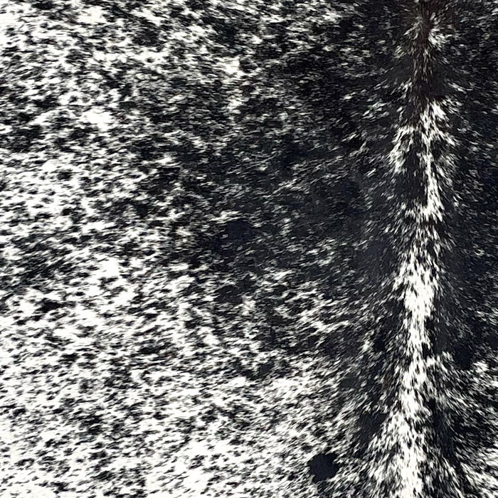 Closeup of this Speckled Brazilian Cowhide, showing white with black speckles and spots (BRSP3537)