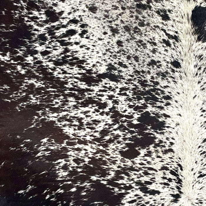 Dark Tricolor Speckled Brazilian Cowhide, showing white with black speckles and spots, and some dark brown mixed in along the belly (BRSP3538)