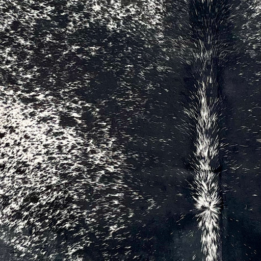 Closeup of this Large Speckled Brazilian Cowhide, showing black with white speckles on the back, and white with black speckles on the belly (BRSP3541)