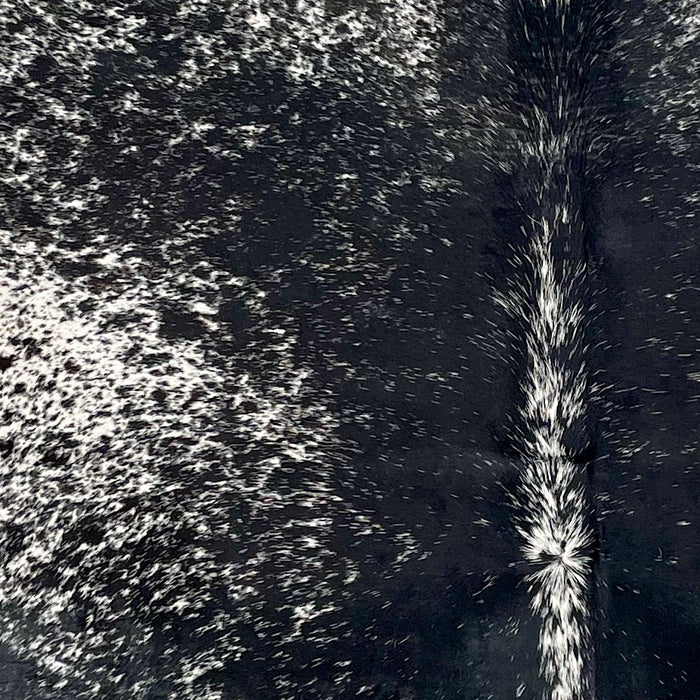 Closeup of this Large Speckled Brazilian Cowhide, showing black with white speckles on the back, and white with black speckles on the belly (BRSP3541)