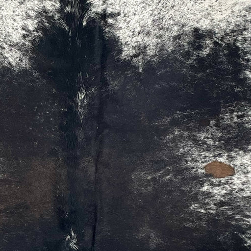 Closeup of this Speckled Brazilian Cowhide, showing white with black speckles and spots, mostly solid black on the back, with hints of dark brown across the middle, and one brown spot on the right side (BRSP3543)