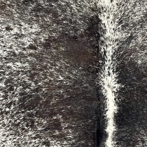 Closeup of this Tricolor Speckled Brazilian Cowhide, showing white with black and dark brown speckles and spots  (BRSP3544)
