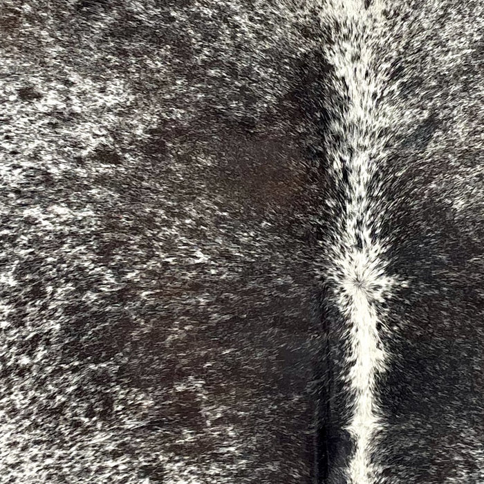Closeup of this Tricolor Speckled Brazilian Cowhide, showing white with black and dark brown speckles and spots  (BRSP3544)