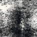 Closeup of this Speckled Brazilian Cowhide, showing black with white speckles and spots (BRSP3545)