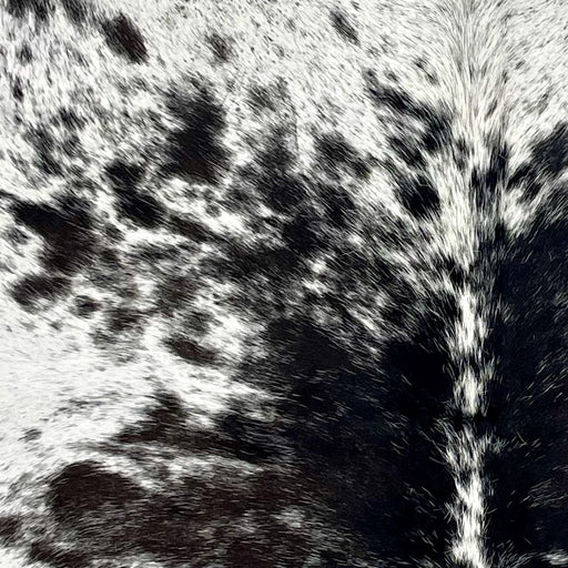Closeup of this Speckled Brazilian Cowhide, showing white with black speckles and spots (BRSP3547)