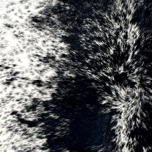Closeup of this Cloudy Speckled Brazilian Cowhide, showing white with large and small, black spots and cloudy, black speckles (BRSP3548)