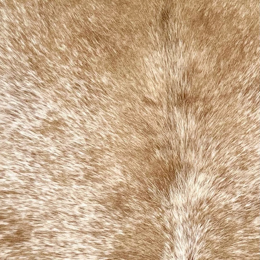 closeup of this Speckled Brazilian Cowhide, showing white with caramel speckles and spots (BRSP3591)