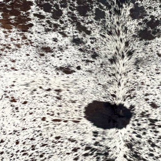 Closeup of this Tricolor Speckled Brazilian Cowhide, showing white with brown and black spots and speckles (BRSP3596)