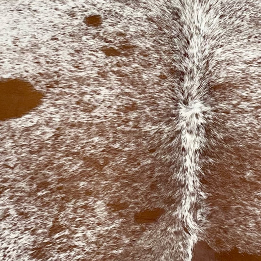 Closeup of this Speckled Brazilian Cowhide, showing white with reddish brown speckles and spots (BRSP3598)