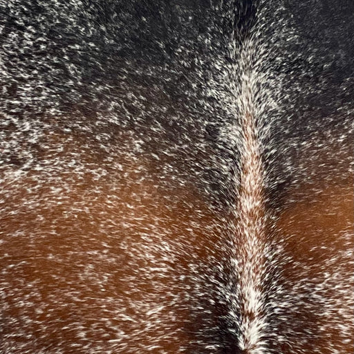 Closeup of this Large Tricolor Speckled Brazilian Cowhide, showing reddish brown and black with white speckles and spots  (BRSP3603)