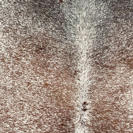 Closeup of this Tricolor Speckled Brazilian Cowhide, showing white with brown and black speckles (BRSP3604)