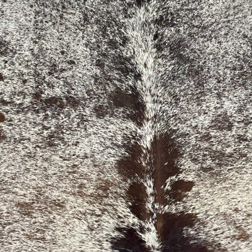 Closeup of this Large Tricolor Speckled Brazilian Cowhide, showing white with black and brown speckles and spots  (BRSP3605)