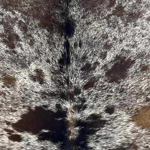 Closeup of this Large Tricolor Speckled Brazilian Cowhide, showing white with brown and black speckles and spots (BRSP3606)