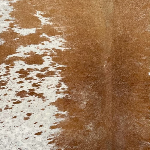 Closeup of this Tricolor Speckled Brazilian Cowhide, showing white with medium brown speckles and spots, and mostly solid medium brown down the middle  (BRSP3607)