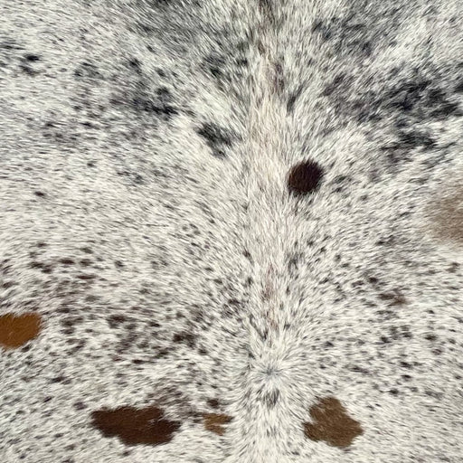 Closeup of this Large Tricolor Speckled Brazilian Cowhide, showing white with black and brown speckles and spots  (BRSP3609)