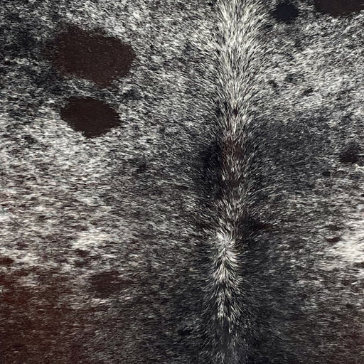 Closeup of this Large Tricolor Speckled Brazilian Cowhide, showing white with black and dark brown speckles and spots  (BRSP3610)