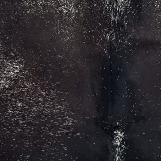 Closeup of this Large Speckled Brazilian Cowhide, showing brown with white speckles and spots (BRSP3611)