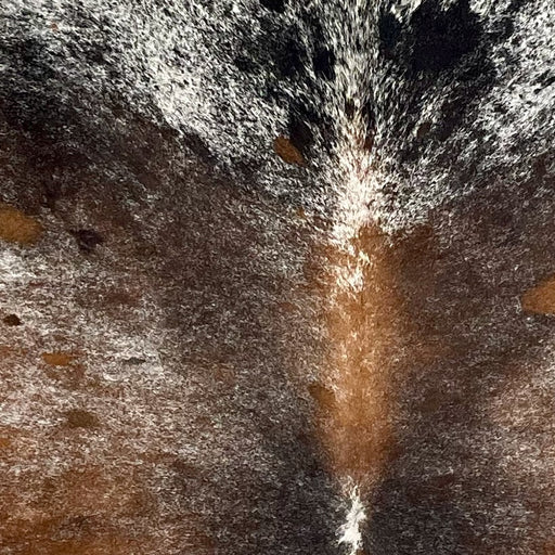 Closeup of this Tricolor Speckled Brazilian Cowhide, showing white with golden brown, dark brown, and black spots and speckles (BRSP3613)