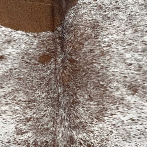 Closeup of this Speckled Brazilian Cowhide, showing white with brown speckles and spots (BRSP3614)