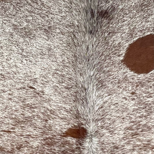 Closeup of this Speckled Brazilian Cowhide, showing white with brown speckles and spots (BRSP3615)