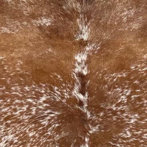 Closeup of this Large Speckled Brazilian Cowhide, showing brown with white speckles and spots (BRSP3622)