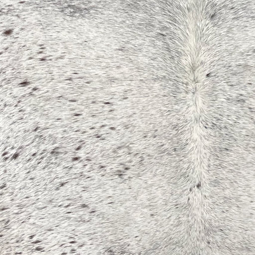 Closeup of this Large Tricolor Speckled Brazilian Cowhide, showing white with black and dark brown speckles   (BRSP3626)