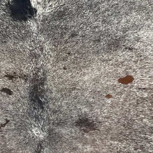 Closeup of this Large Tricolor Speckled Brazilian Cowhide, showing white with black and brown speckles and spots  (BRSP3628)