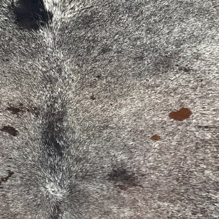 Closeup of this Large Tricolor Speckled Brazilian Cowhide, showing white with black and brown speckles and spots  (BRSP3628)