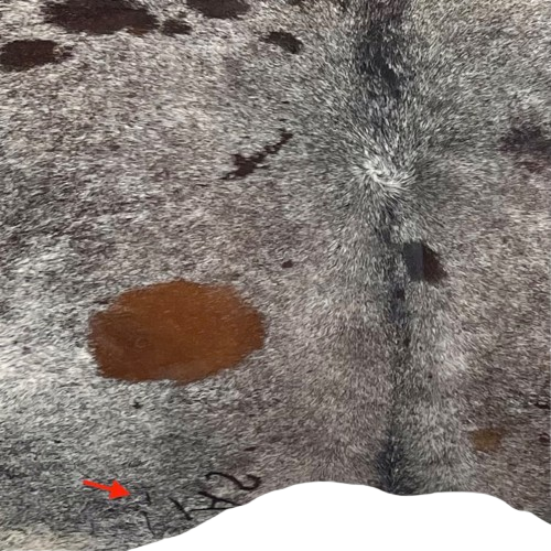 Closeup of this Large Tricolor Speckled Brazilian Cowhide, showing one brand mark on the left side of the butt  (BRSP3628)