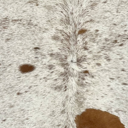 Closeup of this Speckled Brazilian Cowhide, showing ivory with brown speckles and spots (BRSP3629)