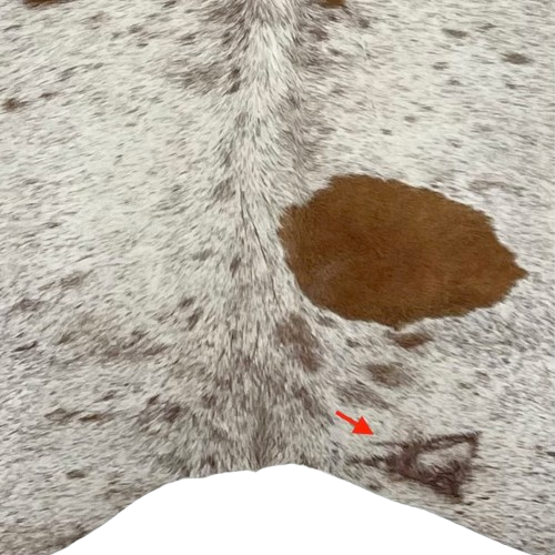 Closeup of this Ivory and Brown Speckled Brazilian Cowhide, showing one brand mark on the right side of the butt  (BRSP3629)