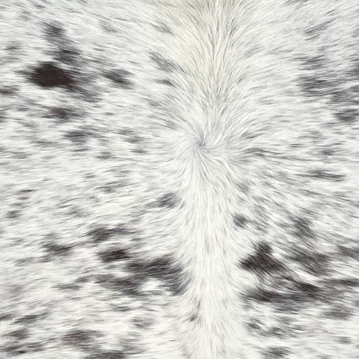 Closeup of this Tricolor Speckled Brazilian Cowhide, showing white with black and blackish brown speckles and spots  (BRSP3630)