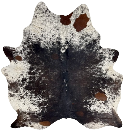 Large Tricolor Speckled Brazilian Cowhide: has a mix of black and dark, reddish brown with white speckles down the middle, and white with black speckles and large, reddish brown spots on the sides, belly, butt, and shoulder - 7'7" x 5'11" (BRSP3631)