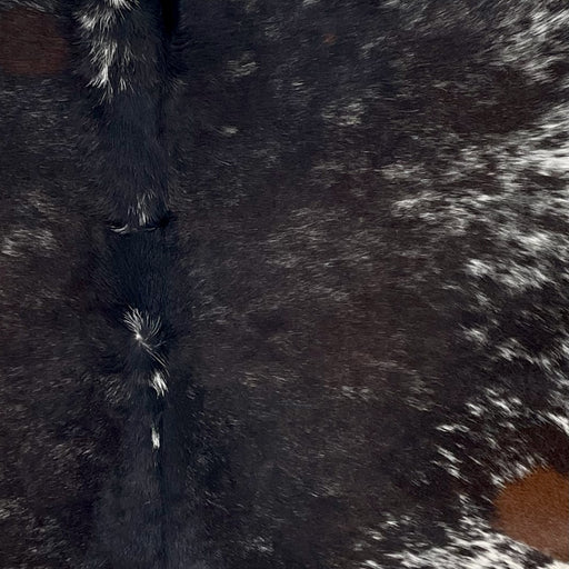 Closeup of this Large Tricolor Speckled Brazilian Cowhide, showing a mix of black and dark, reddish brown with white speckles down the middle (BRSP3631)