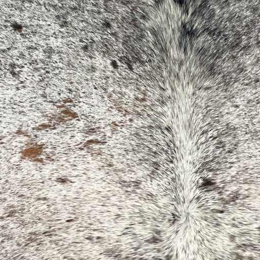 Closeup of this Tricolor Speckled Brazilian Cowhide, showing white with black and brown speckles and spots (BRSP3635)