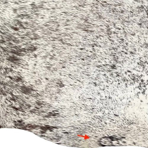 Closeup of this Tricolor Speckled Brazilian Cowhide, showing one brand mark on the right side of the butt (BRSP3635)