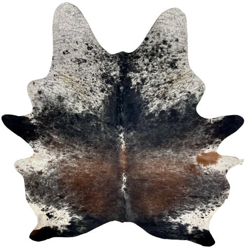 XL Tricolor Speckled Brazilian Cowhide: has a mix of black and reddish brown, with white speckles, on the back and butt, and white with black speckles and spots on the belly and shoulder - 8'3" x 6'5" (BRSP3637)