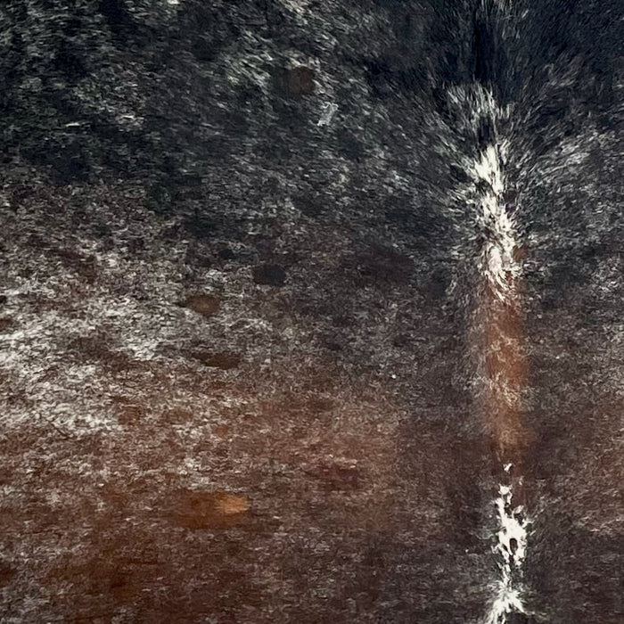 Closeup of this XL Tricolor Speckled Brazilian Cowhide, showing a mix of black and reddish brown, with white speckles , on the back (BRSP3637)