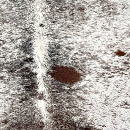 Closeup of this Tricolor Speckled Brazilian Cowhide, showing white with black and dark brown speckles and spots (BRSP3639)